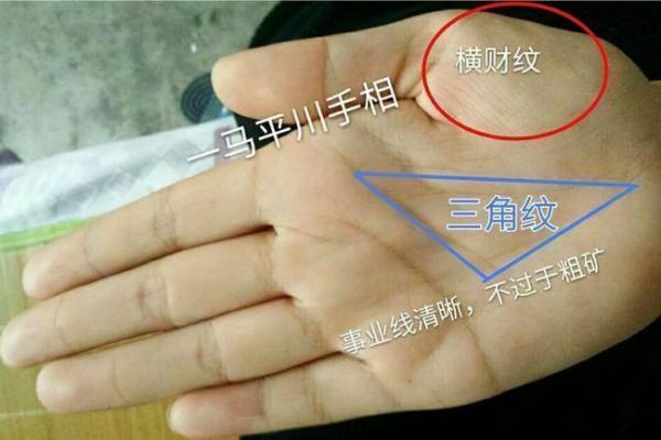 揭秘手相九大财运线：掌握运势，轻松致富