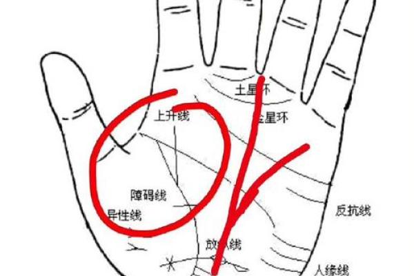 手相揭秘：事业线停在智慧线，命运轨迹大逆转