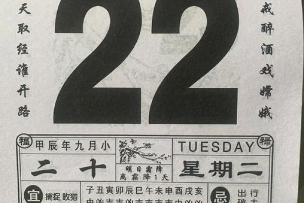 八字桃花运势旺，如何巧妙抓住你的爱情机遇