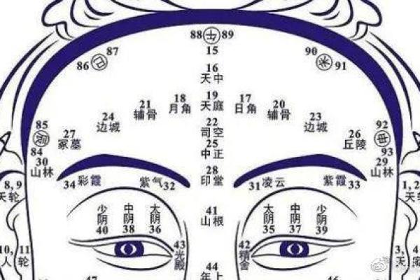 额头面相图解：揭秘额头秘密，运势、性格一览无遗
