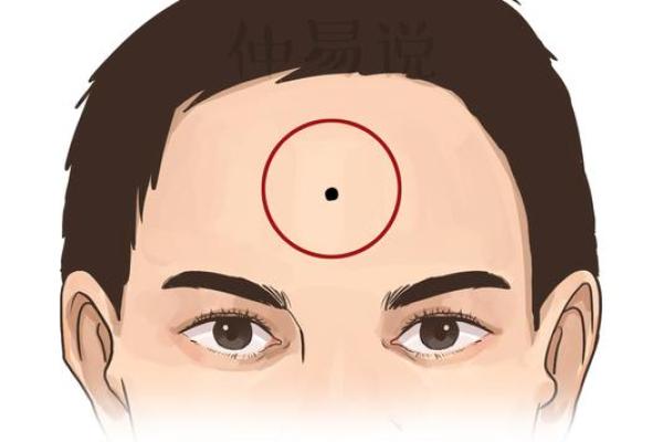 额头面相图解：揭秘额头秘密，运势、性格一览无遗