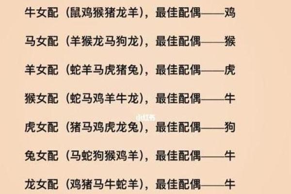 属相配对指南：找到你的天生缘分