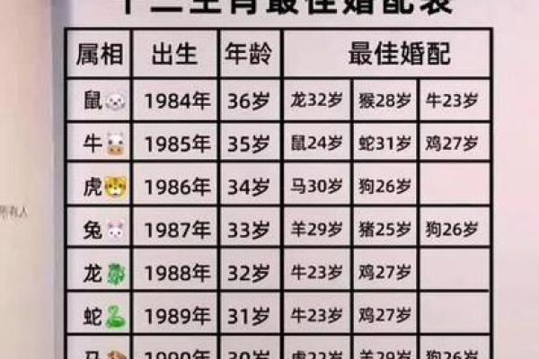 属相配对指南：找到你的天生缘分