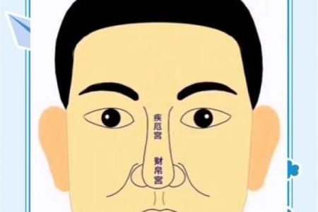 面相解析：揭秘你的运势与性格，相亲必备攻略