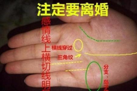 手相揭秘：女命事业线未穿过，预示着怎样的命运转折？