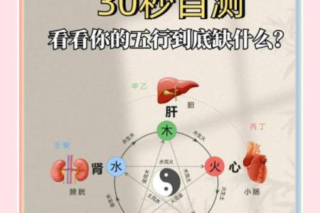 五行命理探秘：揭秘命运与五行的神秘联系