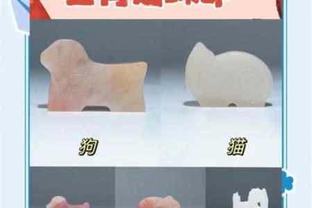 胸拥生肖魅力，文胸揭秘十二生肖的秘密