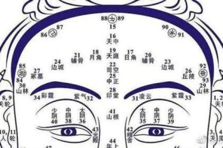 额头面相图解：揭秘额头秘密，运势、性格一览无遗