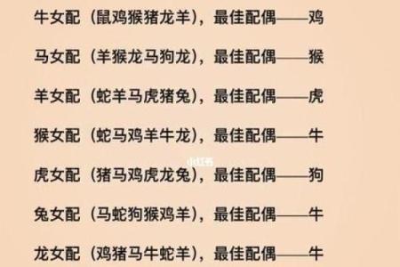 属相配对指南：找到你的天生缘分