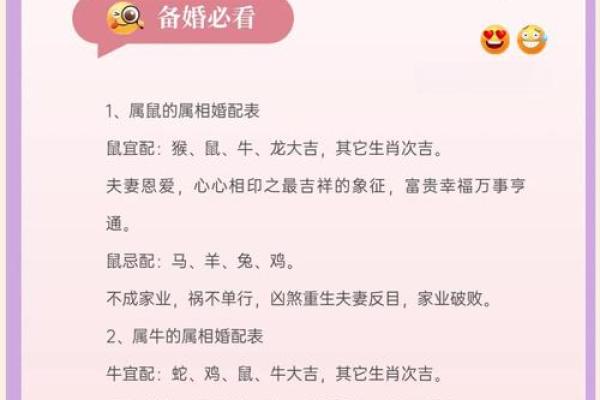 星座属相配婚宝典：揭秘最适合你的另一半