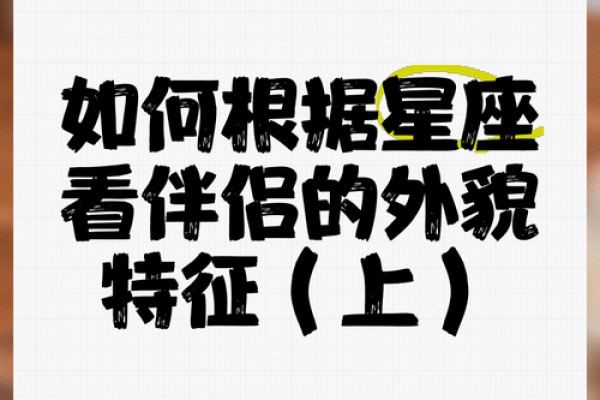 星座属相配婚宝典：揭秘最适合你的另一半
