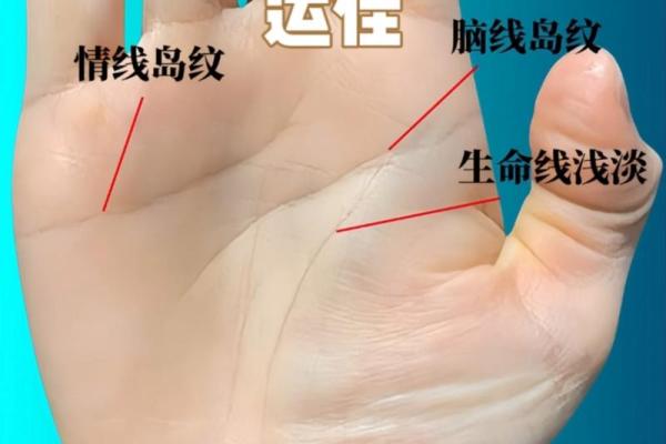 手相揭秘：感情线与事业线的神秘力量，揭秘你的命运密码