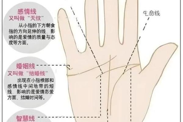 手相揭秘：感情线与事业线的神秘力量，揭秘你的命运密码