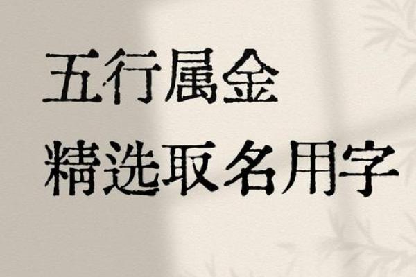 利字五行究竟属火还是金？专家解析真相
