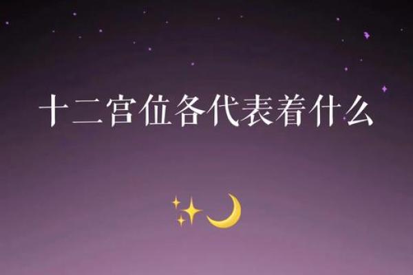 面相十二宫秘术：洞察命运，解锁运势秘密