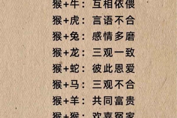 猴子配猴子，天生一对揭秘