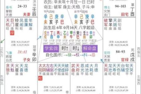 揭秘紫微斗数排盘的神秘变化，如何影响你的人生轨迹