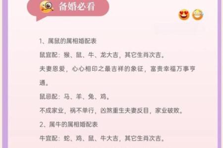 星座属相配婚宝典：揭秘最适合你的另一半