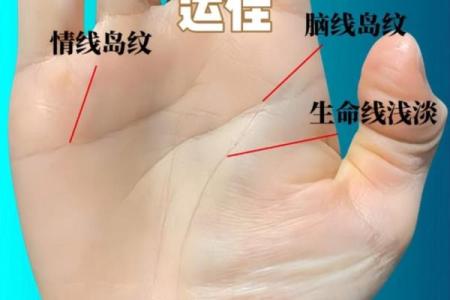 手相揭秘：感情线与事业线的神秘力量，揭秘你的命运密码