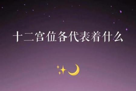 面相十二宫秘术：洞察命运，解锁运势秘密