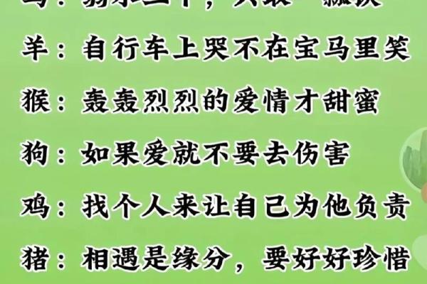 晚年揭秘：你到底属什么生肖？