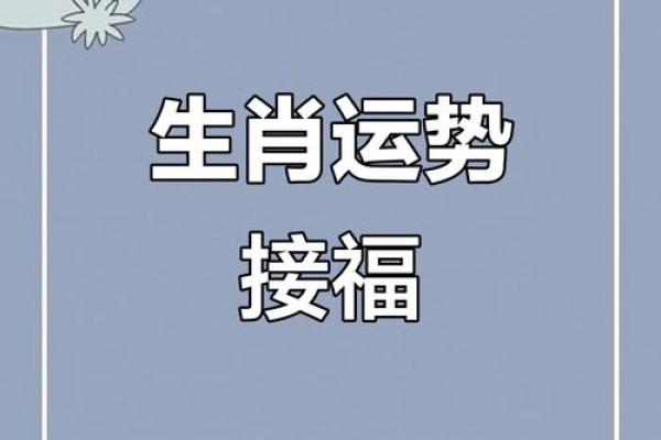 十二生肖红运连连，爆款运势揭秘