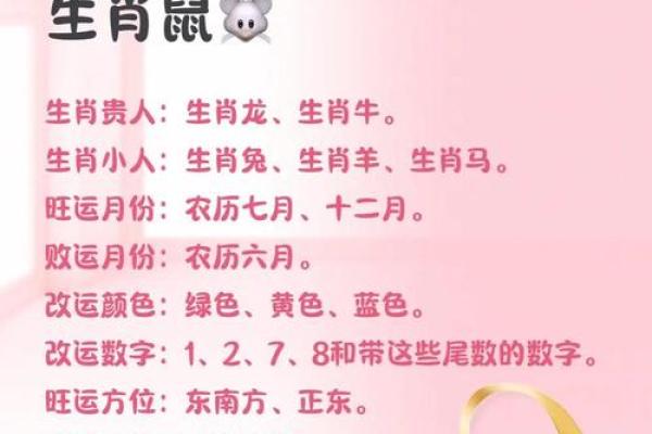 花开生肖，好运连连，揭秘生肖花语中的秘密魅力