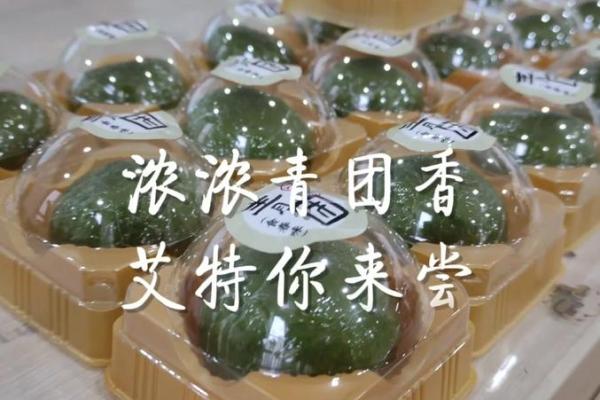 端午粽子香，中秋月饼甜，春节饺子团圆，清明青团寄哀思——探寻传统节日美食的独特魅力