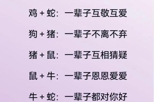 猴子配对揭秘：谁与你的生肖最般配？