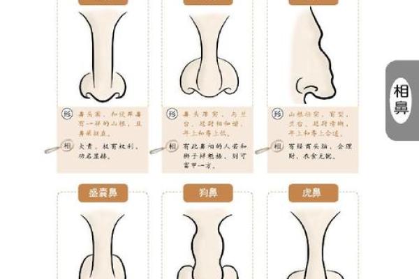 面相揭秘：掌握这些技巧，一眼看穿人心