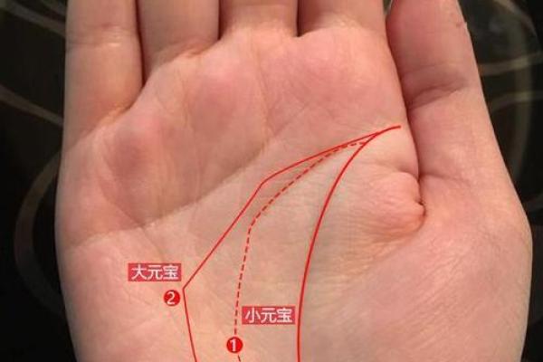 手相揭秘：神秘莲花纹预示着哪些惊人命运？
