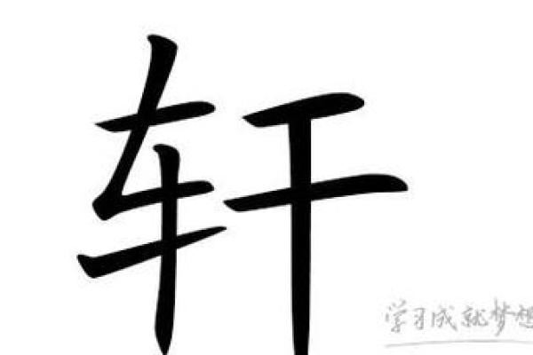 起名必看：如何用“轩”字打造独特姓名
