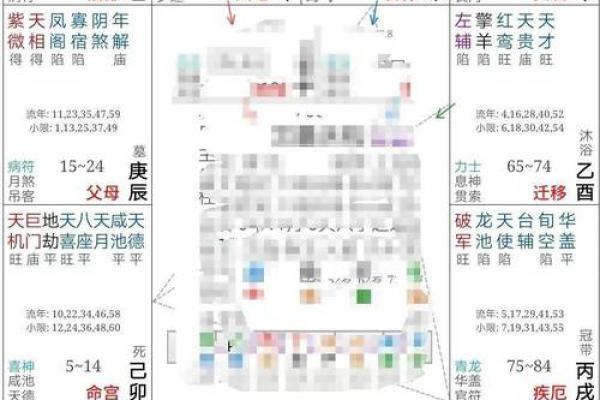 紫微斗数排盘软件下载全攻略，快速掌握命运秘钥