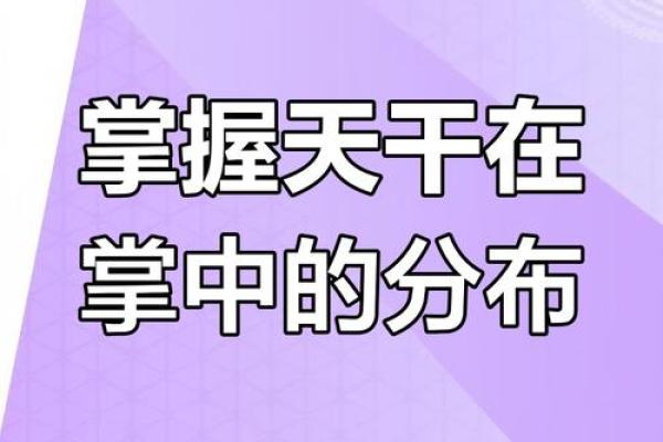 揭秘天干掌上神奇力量，改变命运的关键！
