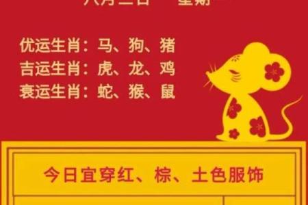 十二生肖红运连连，爆款运势揭秘
