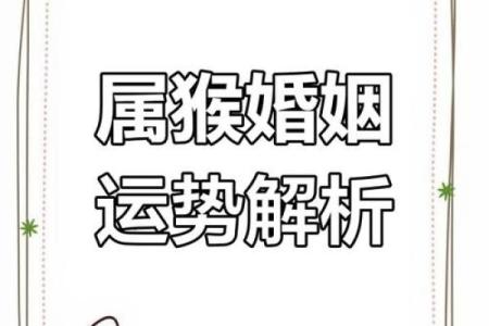 猴子配对揭秘：谁与你的生肖最般配？