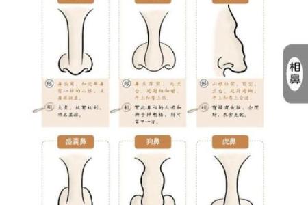 面相揭秘：掌握这些技巧，一眼看穿人心