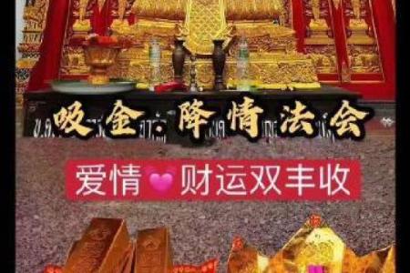 店名的命理数揭秘