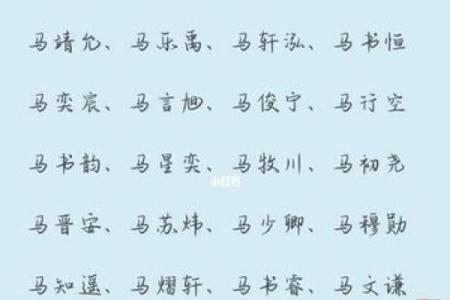 起名必看：如何用“轩”字打造独特姓名