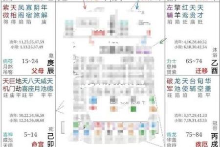 紫微斗数排盘软件下载全攻略，快速掌握命运秘钥