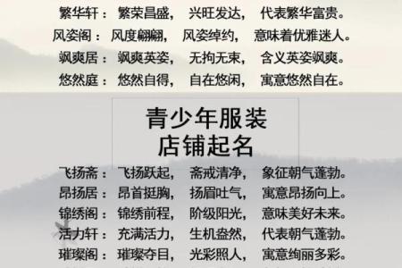 鸭货店铺起名技巧，掌握这些让生意倍增