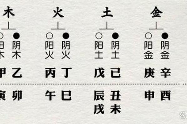 深入解析十二支天干，揭秘命运背后的密码