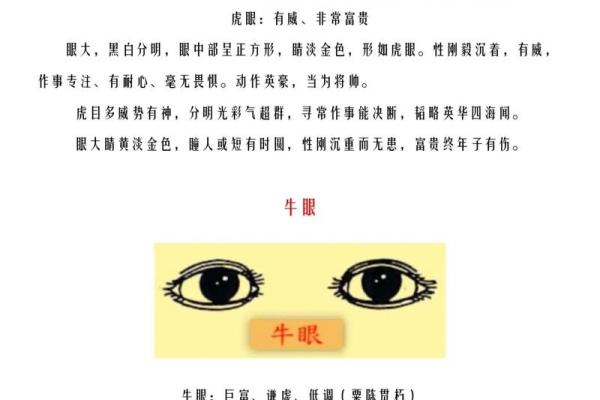 识人如神：揭秘面相大师的独门绝技
