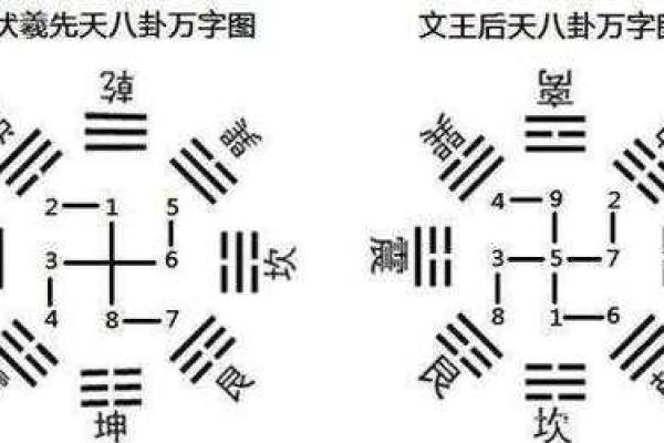 万字五行的秘密揭秘，属于哪个元素？