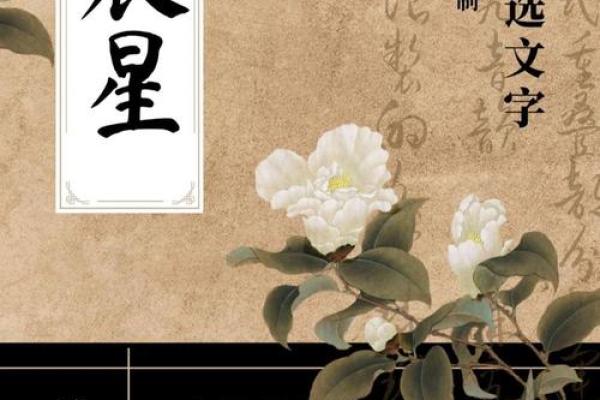 以楚辞为灵感，起个有文化底蕴的名字