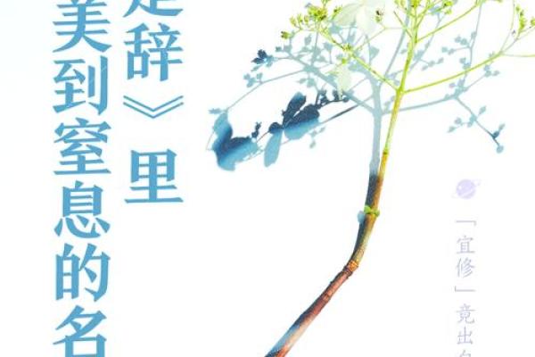 以楚辞为灵感，起个有文化底蕴的名字