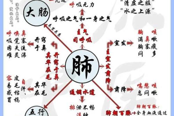 震五行属什么？揭秘震卦背后的五行奥秘