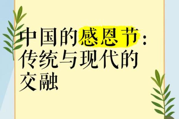 十一月节日聚焦：感恩节、光明节和更多庆典
