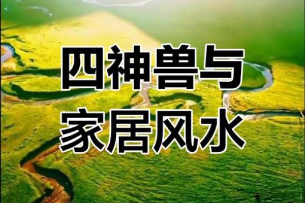揭秘老公白虎命，运势解析大公开