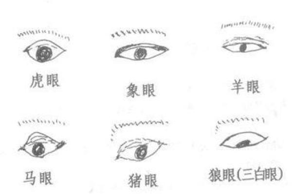 揭秘面相秘诀：女人面相中的秘密，让你一眼看穿她的爱情状态
